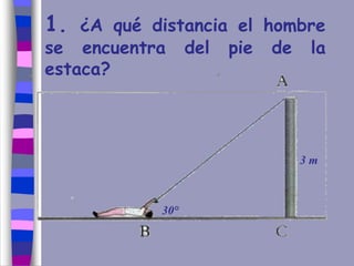 ¿A qué distancia el
hombre se encuentra del
pie de la estaca?
1. ¿A qué distancia el hombre
se encuentra del pie de la
estaca?
30°
3 m
 