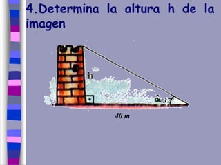 4.Determina la altura h de la
imagen
40 m
=37°
 