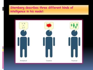 Sternberg describes three different kinds of
intelligence in his model:
 