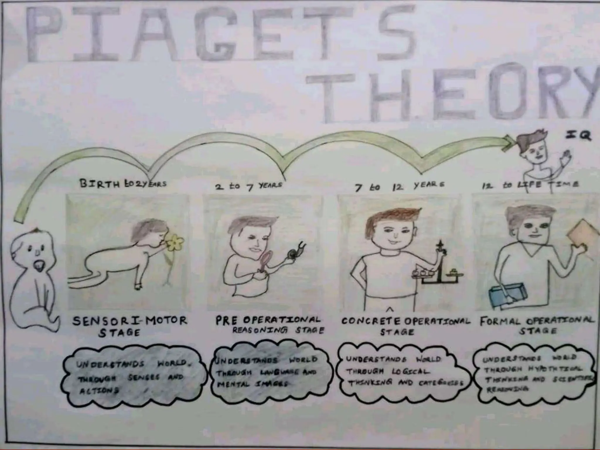 Triarchic Theory of Intelligence by Robert Sternberg (1) (1).pptx