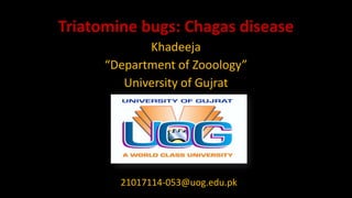 Triatomine bugs: Chagas disease
Khadeeja
“Department of Zooology”
University of Gujrat
21017114-053@uog.edu.pk
 