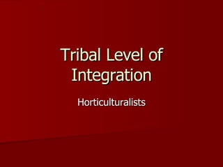 Tribal Level of Integration Horticulturalists 