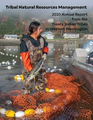2020 Annual Report
from the
Treaty Indian Tribes
in Western Washington
Tribal Natural Resources Management
 