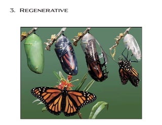 3. Regenerative
 