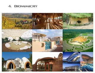 4. Biomimicry
 