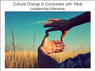 Cultural Change in Companies with Tribal
          Leadership Intensive
 