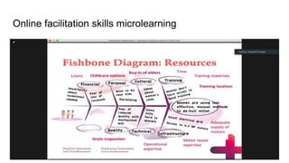 Online facilitation skills microlearning
 