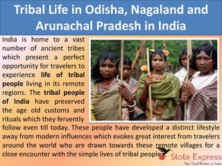 Tribal Life in Odisha, Nagaland and
Arunachal Pradesh in India
India is home to a vast
number of ancient tribes
which present a perfect
opportunity for travelers to
experience life of tribal
people living in its remote
regions. The tribal people
of India have preserved
the age old customs and
rituals which they fervently
follow even till today. These people have developed a distinct lifestyle
away from modern influences which evokes great interest from travelers
around the world who are drawn towards these remote villages for a
close encounter with the simple lives of tribal people.
 