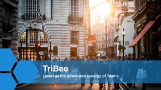 TriBee
Leverage the power and synergy of Teams
 