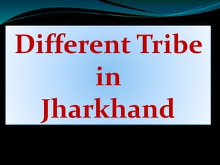 Different Tribe
in
Jharkhand
 