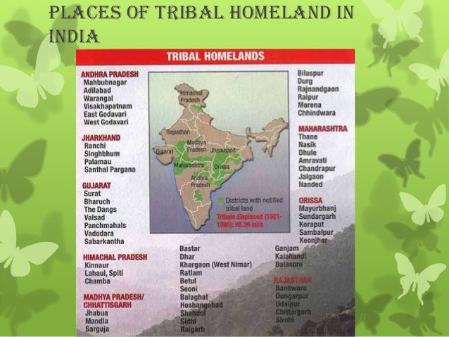 Tribes tribes