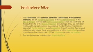 Sentinelese Tribe


The Sentinelese (also Sentineli, Senteneli, Sentenelese, North Sentinel
Islanders) are an indigenous peoples of the Andaman Islands, in the
Bay of Bengal. They inhabit North Sentinel Island, which lies westward off
the southern tip of the Great Andaman archipelago. They are noted for
resisting attempts at contact by outsiders. The Sentinelese maintain an
essentially hunter-gatherer society subsisting through hunting, fishing, and
collecting wild plants. There is no evidence of either agricultural practices
or methods of producing fire.[1] Their language remains unclassified.



The Sentinelese are a designated Scheduled Tribe

 