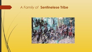 A Family of Sentinelese Tribe

 