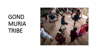 GOND
MURIA
TRIBE
 