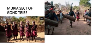 MURIA SECT OF
GOND TRIBE
 