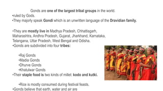 Gonds are one of the largest tribal groups in the world.
•ruled by Gods.
•They majorly speak Gondi which is an unwritten language of the Dravidian family.
•They are mostly live in Madhya Pradesh, Chhattisgarh,
Maharashtra, Andhra Pradesh, Gujarat, Jharkhand, Karnataka,
Telangana, Uttar Pradesh, West Bengal and Odisha.
•Gonds are subdivided into four tribes:
•Raj Gonds
•Madia Gonds
•Dhurve Gonds
•Khatulwar Gonds
•Their staple food is two kinds of millet: kodo and kutki.
•Rice is mostly consumed during festival feasts.
•Gonds believe that earth, water and air are
 