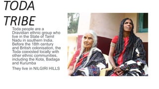 TODA
TRIBE
Toda people are a
Dravidian ethnic group who
live in the State of Tamil
Nadu in southern India.
Before the 18th century
and British colonisation, the
Toda coexisted locally with
other ethnic communities,
including the Kota, Badaga
and Kurumba
They live in NILGIRI HILLS
 
