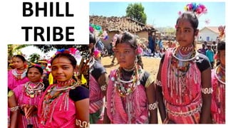 BHILL
TRIBE
 