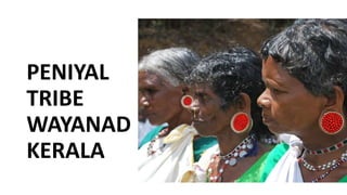 PENIYAL
TRIBE
WAYANAD
KERALA
 