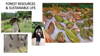 FOREST RESOURCES
& SUSTAINABLE LIFE
 