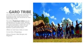 The GARO TRIBE
one of the few matrilineal civilizations still
in existence and mostly found in the
Meghalayan hills, are renowned for their
vibrant way of life.
The other Meghalayan tribes may be
recognized as the Garo tribes. Women
are commonly spotted wearing a range
of traditional jewelry, while men are
usually seen sporting turbans with
feathers tucked behind them.
Where to meet Garo tribes in India:
•In the hills of Meghalaya
•Parts of Assam, West Bengal, and
Nagaland
 