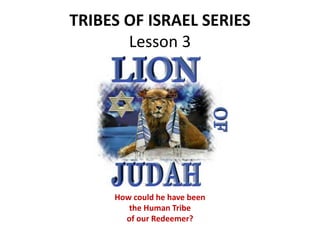 TRIBES OF ISRAEL SERIES
Lesson 3
How could he have been
the Human Tribe
of our Redeemer?
 