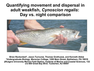 Quantifying movement and dispersal in adult weakfish,  Cynoscion regalis :  Day vs. night comparison Brian Reckenbeil*, Jason Turnure‡, Thomas Grothues‡, and Kenneth Able‡  *Undergraduate Biology, Moravian College, 1200 Main Street, Bethlehem, PA 18018 ‡ Rutgers University Marine Field Station, Institute of Marine and Coastal Sciences, 132 c/o 800 Great Bay Blvd. Tuckerton, NJ 08087 
