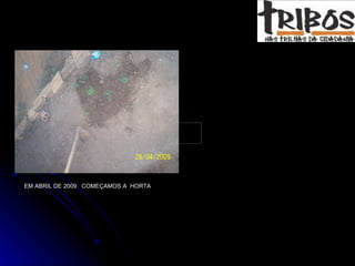 EM ABRIL DE 2009  COMEÇAMOS A  HORTA 