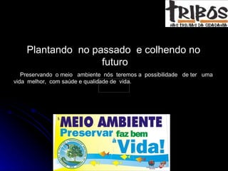 Plantando  no passado  e colhendo no  futuro Preservando  o meio  ambiente  nós  teremos a  possibilidade  de ter  uma vida  melhor,  com saúde e qualidade de  vida. 