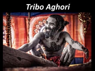 Tribo Aghori
 