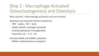 Step 2 : Macrophage Activated
Osteoclastogenesis and Osteolysis
Wear partials ->Macrophage activation and recruitment
Osteolysis by osteolytic factors (cytokines)
◦ TNF – alpha , TGF – beta
◦ Oxide radicals, hydrogen peroxide
◦ Acid phosphatase, Prostaglandins
◦ Interlukins (IL – 1, IL – 6)
Increase RANK and RANKL activation
◦ RANKL mediated bone resorption
 