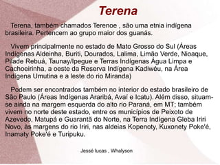 Terena
Terena, também chamados Terenoe , são uma etnia indígena
brasileira. Pertencem ao grupo maior dos guanás.
Vivem principalmente no estado de Mato Grosso do Sul (Áreas
Indígenas Aldeinha, Buriti, Dourados, Lalima, Limão Verde, Nioaque,
Pilade Rebuá, Taunay/Ipegue e Terras Indígenas Água Limpa e
Cachoeirinha, a oeste da Reserva Indígena Kadiwéu, na Área
Indígena Umutina e a leste do rio Miranda)
Podem ser encontrados também no interior do estado brasileiro de
São Paulo (Áreas Indígenas Araribá, Avaí e Icatu). Além disso, situam-
se ainda na margem esquerda do alto rio Paraná, em MT; também
vivem no norte deste estado, entre os municípios de Peixoto de
Azevedo, Matupá e Guarantã do Norte, na Terra Indígena Gleba Iriri
Novo, às margens do rio Iriri, nas aldeias Kopenoty, Kuxonety Poke'é,
Inamaty Poke'é e Turipuku.
Jessé lucas , Whalyson
 