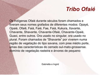 Tribo Ofaié
Os indígenas Ofaié durante séculos foram chamados e
tiveram seus nomes grafados de diferentes modos: Opayé,
Opaié, Ofaiê, Faiá, Faié, Fae, Faiá, Kukura, Xavante,
Chavante, Shavante, Chavante-Ofaié, Chavante-Opaié,
Guaxi, entre outros. Ora usado no singular, ora usado no
plural. Foram chamados de “Shavante” por viverem numa
região de vegetação do tipo savana, com pree médio porte,
umas das características do cerrado sul-mato-grossense.
domínio de vegetação rasteira e árvores de pequeno
Gabriella e Ingrid
 
