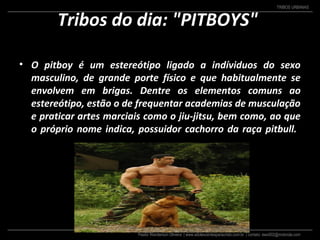 Pastor Wanderson Oliveira | www.adolescentesparacristo.com.br | contato: ewo002@motorola.com
TRIBOS URBANAS
Tribos do dia: "PITBOYS"
• O pitboy é um estereótipo ligado a indíviduos do sexo
masculino, de grande porte físico e que habitualmente se
envolvem em brigas. Dentre os elementos comuns ao
estereótipo, estão o de frequentar academias de musculação
e praticar artes marciais como o jiu-jitsu, bem como, ao que
o próprio nome indica, possuidor cachorro da raça pitbull.
 