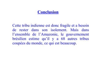 Conclusion Cette tribu indienne est donc fragile et a besoin de rester dans son isolement. Mais dans l’ensemble de l’Amazonie, le gouvernement brésilien estime qu’il y a 68 autres tribus coupées du monde, ce qui est beaucoup. 