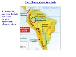 Une tribu en pleine Amazonie L' Amazonie , une zone de forêt très dense où sont répertoriées  plusieurs tribus. 