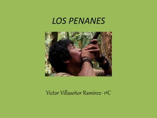LOS PENANES
Victor Villaseñor Ramírez- 1ºC
 