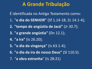 A Grande Tribulação
É identificada no Antigo Testamento como:
1. "o dia do SENHOR" (Sf 1.14-18; Zc 14.1-4);

2. "tempo de angústia de Jacó" (Jr 30.7);
3. "a grande angústia" (Dn 12.1);
4. "a ira” (Is 26.20);
5. "o dia da vingança" (Is 63.1-4);
6. "o dia da ira de nosso Deus" (Sl 110.5).

7. “a obra estranha” (Is 28:21)

 