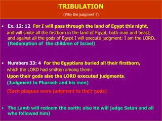 TRIBULATION (Why the judgment ?) Ex. 12: 12   For I will pass through the land of Egypt this night,  and will smite all the firstborn in the land of Egypt, both man and beast;  and against all the gods of Egypt I will execute judgment: I am the LORD .  (Redemption of  the children of Israel) Numbers 33: 4   For the Egyptians buried all their firstborn,  which the LORD had smitten among them:  Upon their gods also the LORD executed judgments .  (Judgment to Pharaoh and his men) (Each plagues were judgment to their gods) (The Lamb will redeem the earth; also He will judge Satan and all who followed him) 