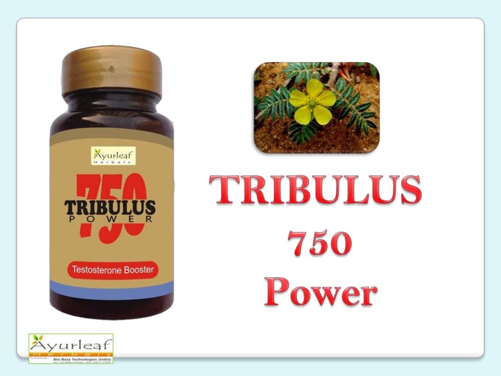 Benefits of Tribulus 750