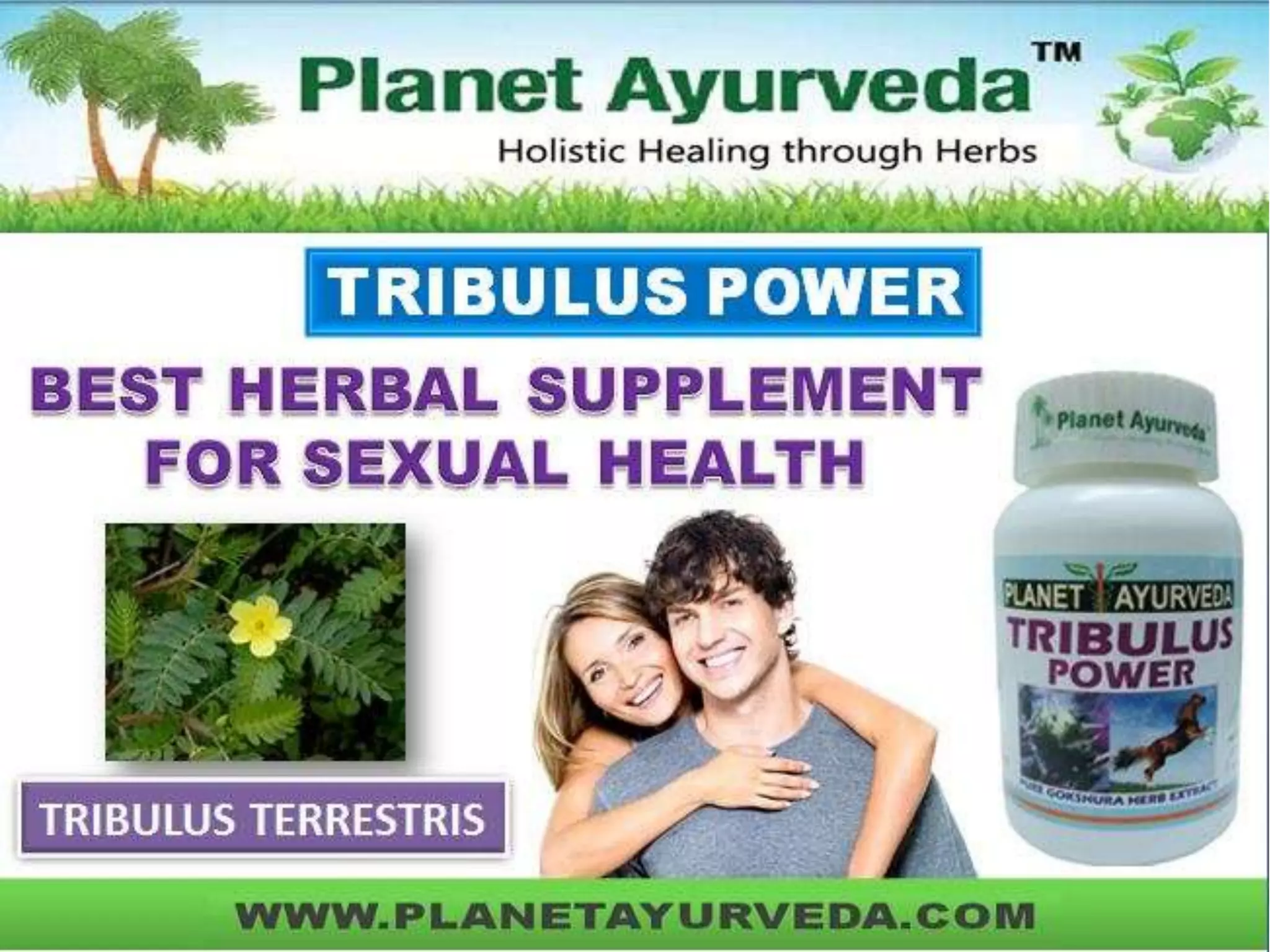 Tribulus Terrestris Capsules Benefits, Dosage and Side Effects PPT