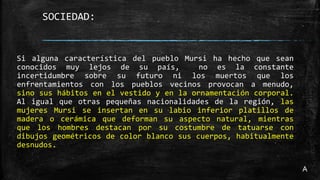 Si alguna característica del pueblo Mursi ha hecho que sean
conocidos muy lejos de su país, no es la constante
incertidumbre sobre su futuro ni los muertos que los
enfrentamientos con los pueblos vecinos provocan a menudo,
sino sus hábitos en el vestido y en la ornamentación corporal.
Al igual que otras pequeñas nacionalidades de la región, las
mujeres Mursi se insertan en su labio inferior platillos de
madera o cerámica que deforman su aspecto natural, mientras
que los hombres destacan por su costumbre de tatuarse con
dibujos geométricos de color blanco sus cuerpos, habitualmente
desnudos.
SOCIEDAD:
A
 