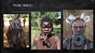 TRIBU MURSI:
 