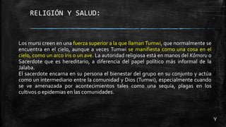 RELIGIÓN Y SALUD:
Los mursi creen en una fuerza superior a la que llaman Tumwi, que normalmente se
encuentra en el cielo, aunque a veces Tumwi se manifiesta como una cosa en el
cielo, como un arco iris o un ave. La autoridad religiosa está en manos del Kômoru o
Sacerdote que es hereditario, a diferencia del papel político más informal de la
Jalaba.
El sacerdote encarna en su persona el bienestar del grupo en su conjunto y actúa
como un intermediario entre la comunidad y Dios (Tumwi), especialmente cuando
se ve amenazada por acontecimientos tales como una sequía, plagas en los
cultivos o epidemias en las comunidades.
Y
 