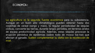 ECONOMÍA:
La agricultura es la segunda fuente económica para su subsistencia.
Aunque en un buen año climatológico pueden obtener hasta dos
cosechas de cereal (sorgo y maiz), la regular periodicidad de sequías
cíclicas, convierte las tierras, durante largos periodos, en terrenos áridos
de escasa productividad agrícola. Además, estas sequías provocan la
erupción periódica de epidemias (sobre todo de mosca tse-tse) que
afectan al ganado. Suelen complementar su dieta con la recolección de
miel.
M
 