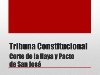 Tribuna Constitucional
Corte de la Haya y Pacto
de San José

 