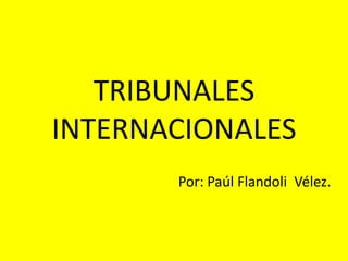 TRIBUNALES INTERNACIONALES Por: Paúl Flandoli  Vélez. 