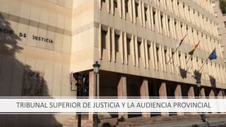 TRIBUNAL SUPERIOR DE JUSTICIA Y LA AUDIENCIA PROVINCIAL
 