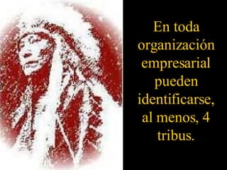 En toda organización empresarial pueden identificarse, al menos, 4 tribus. 