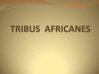 TRIBUS  AFRICANES 